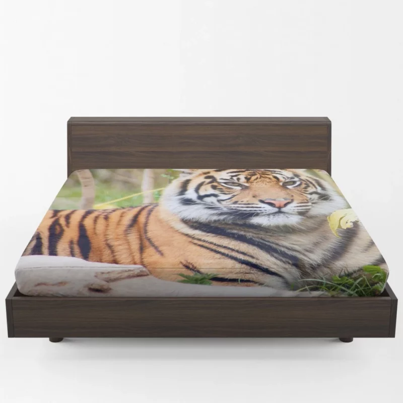 Tiger Fierce Gaze Majestic Intrigue Fitted Sheet