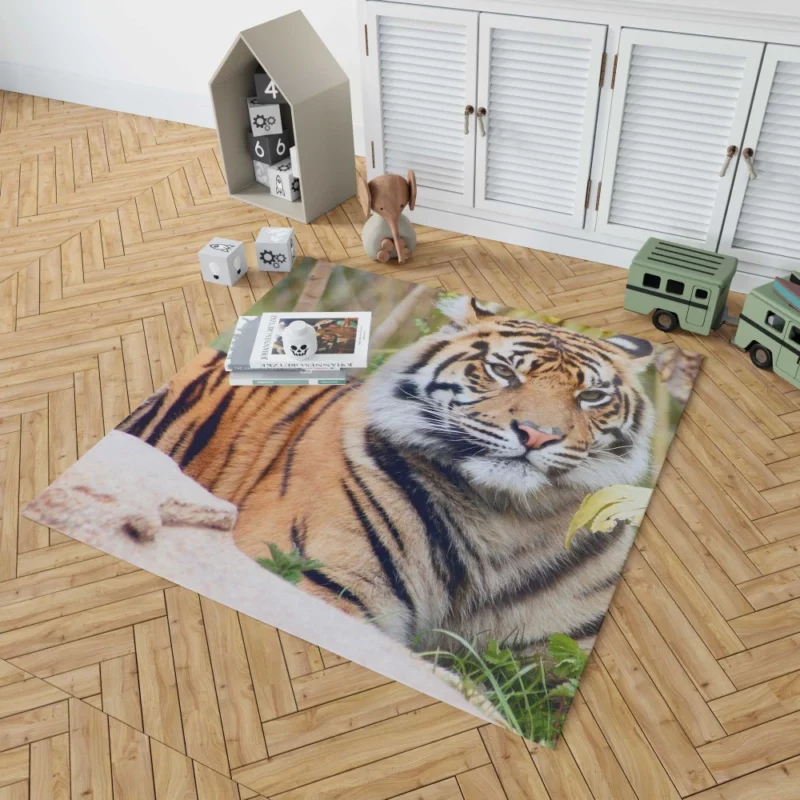 Tiger Fierce Gaze Majestic Intrigue Rug 1