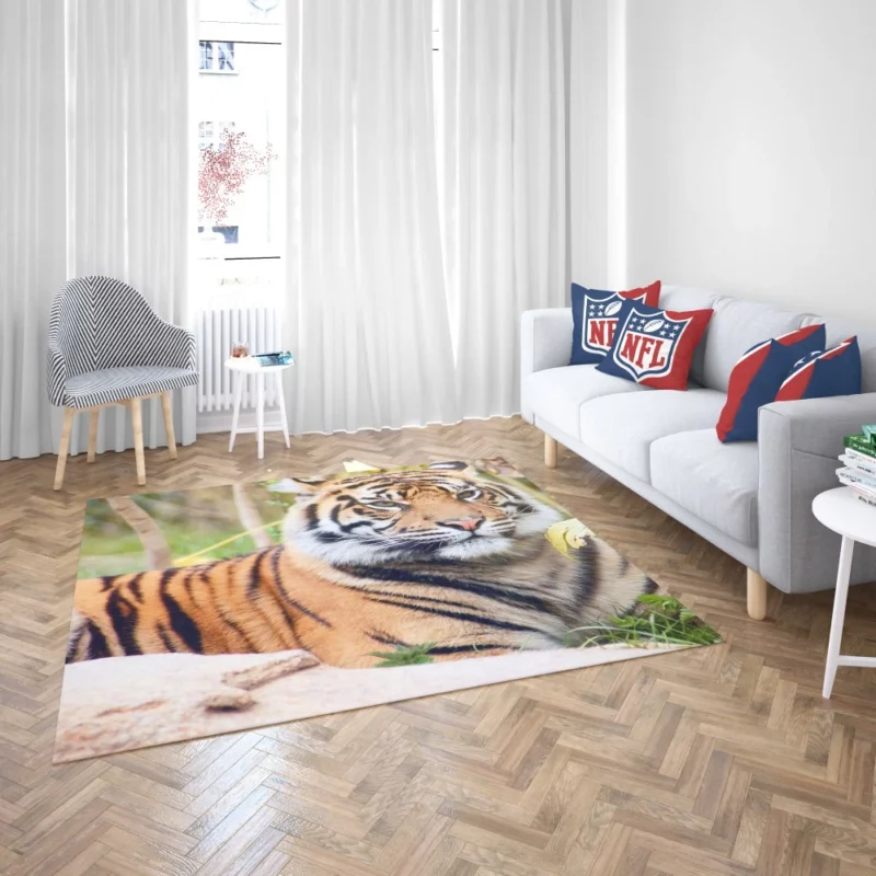 Tiger Fierce Gaze Majestic Intrigue Rug 2