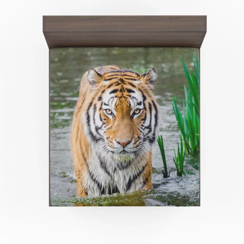 Tiger Fierce Gaze Majestic Wildness Fitted Sheet 1