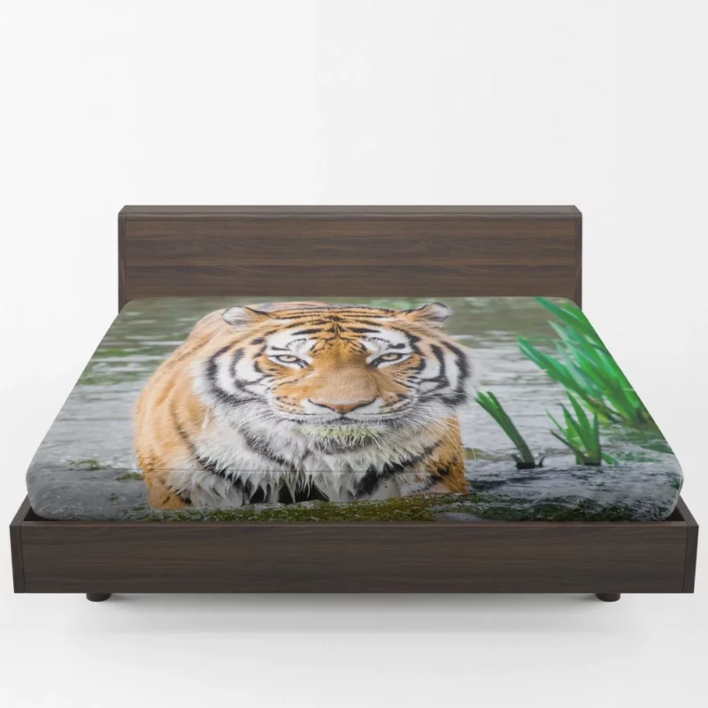 Tiger Fierce Gaze Majestic Wildness Fitted Sheet