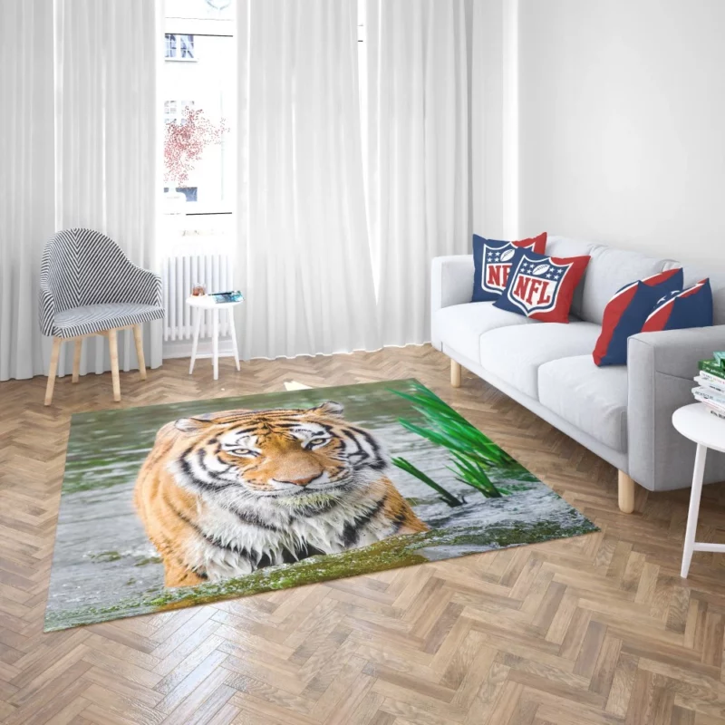 Tiger Fierce Gaze Majestic Wildness Rug 2