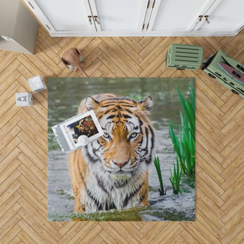 Tiger Fierce Gaze Majestic Wildness Rug