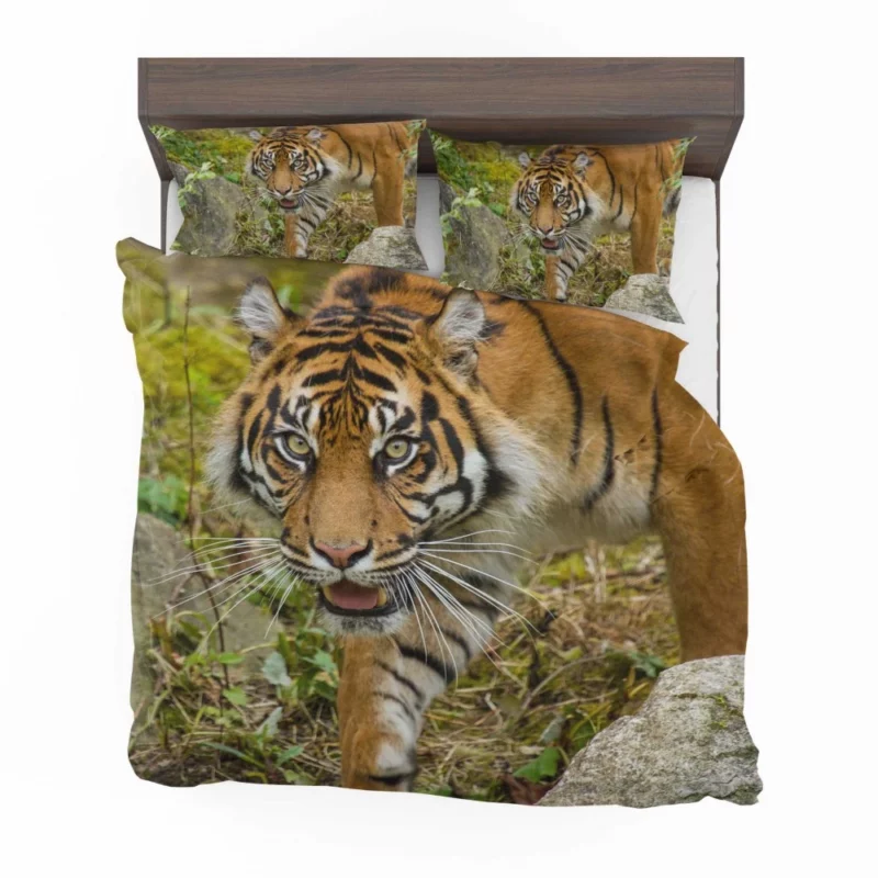 Tiger Fierce Gaze Wild Beauty Bedding Set 1