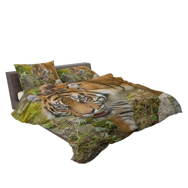 Tiger Fierce Gaze Wild Beauty Bedding Set 2