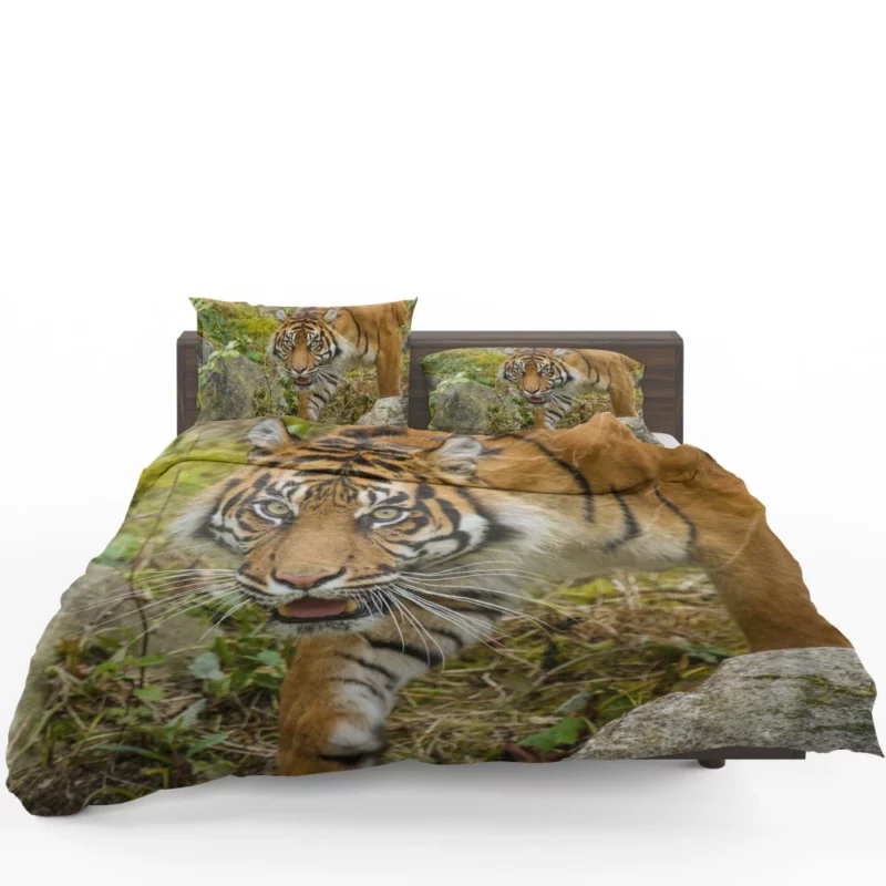 Tiger Fierce Gaze Wild Beauty Bedding Set