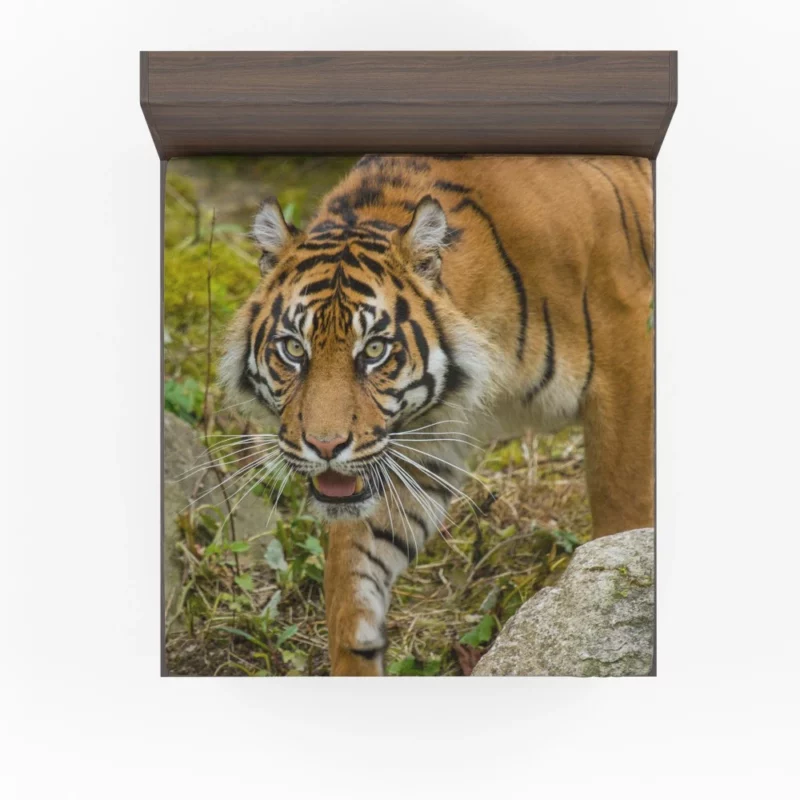 Tiger Fierce Gaze Wild Beauty Fitted Sheet 1