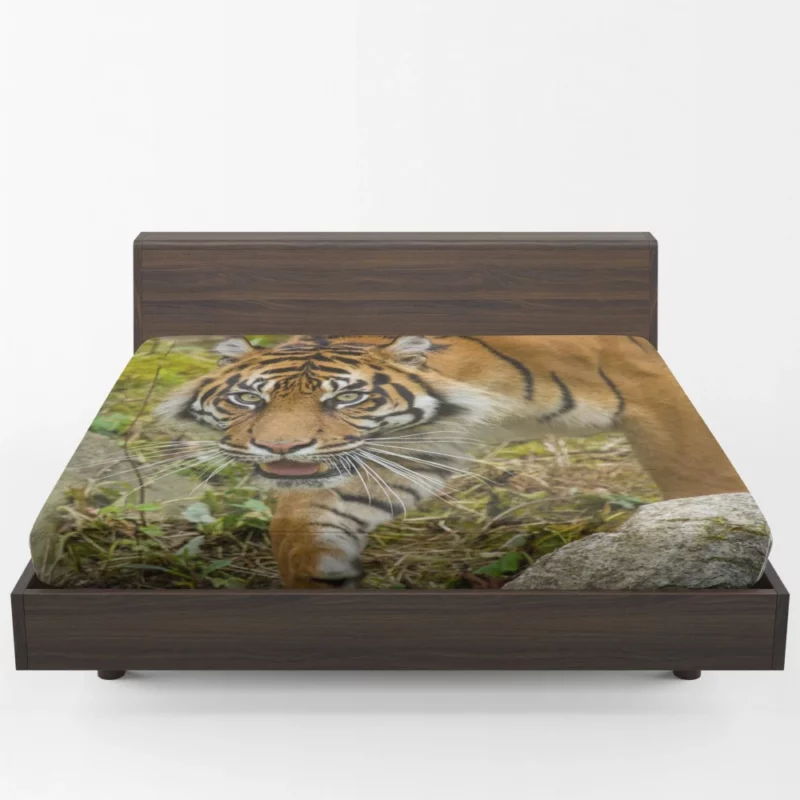 Tiger Fierce Gaze Wild Beauty Fitted Sheet