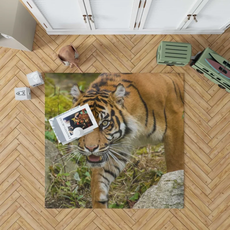 Tiger Fierce Gaze Wild Beauty Rug