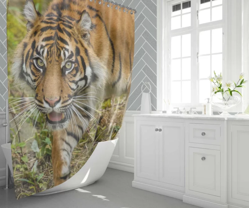 Tiger Fierce Gaze Wild Beauty Shower Curtain 1