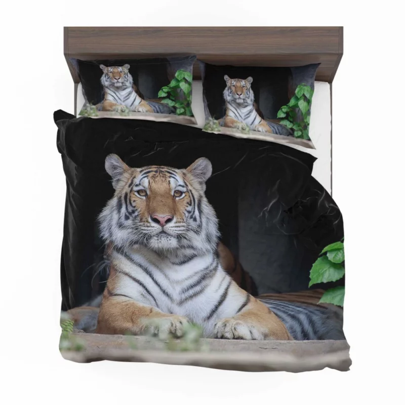 Tiger Fierce Gaze Wild Intrigue Bedding Set 1