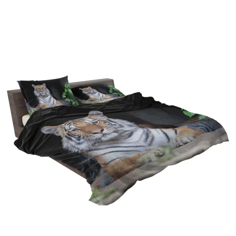 Tiger Fierce Gaze Wild Intrigue Bedding Set 2