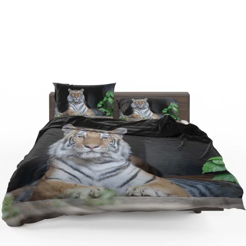 Tiger Fierce Gaze Wild Intrigue Bedding Set