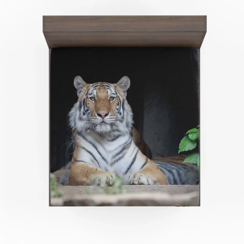 Tiger Fierce Gaze Wild Intrigue Fitted Sheet 1