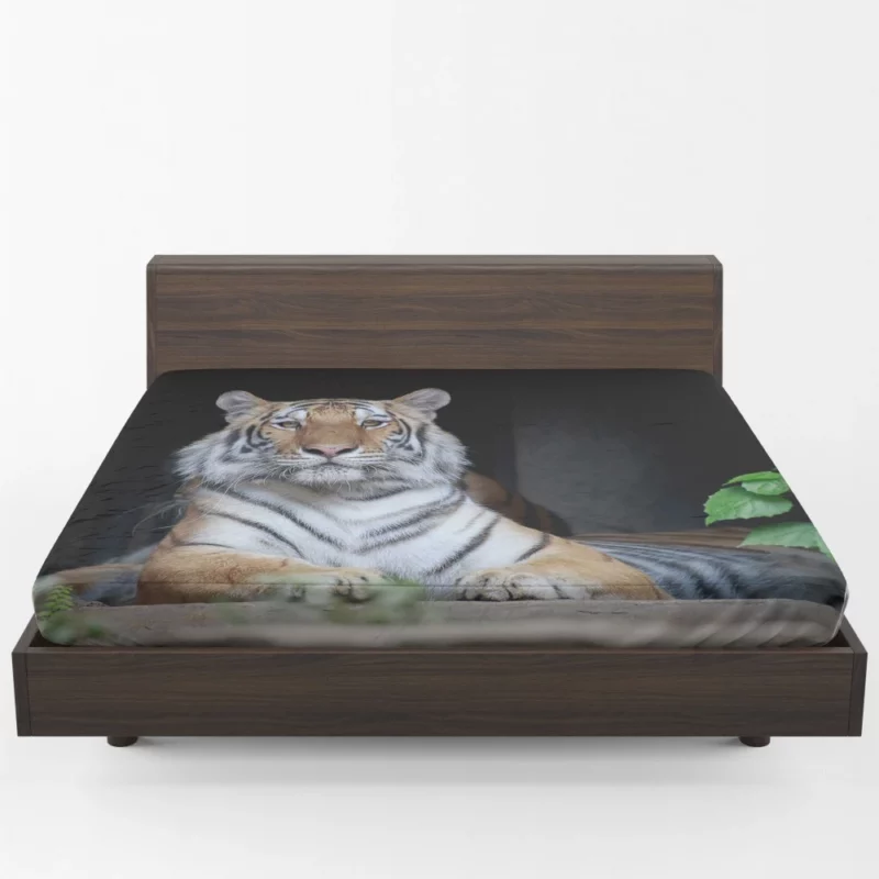 Tiger Fierce Gaze Wild Intrigue Fitted Sheet