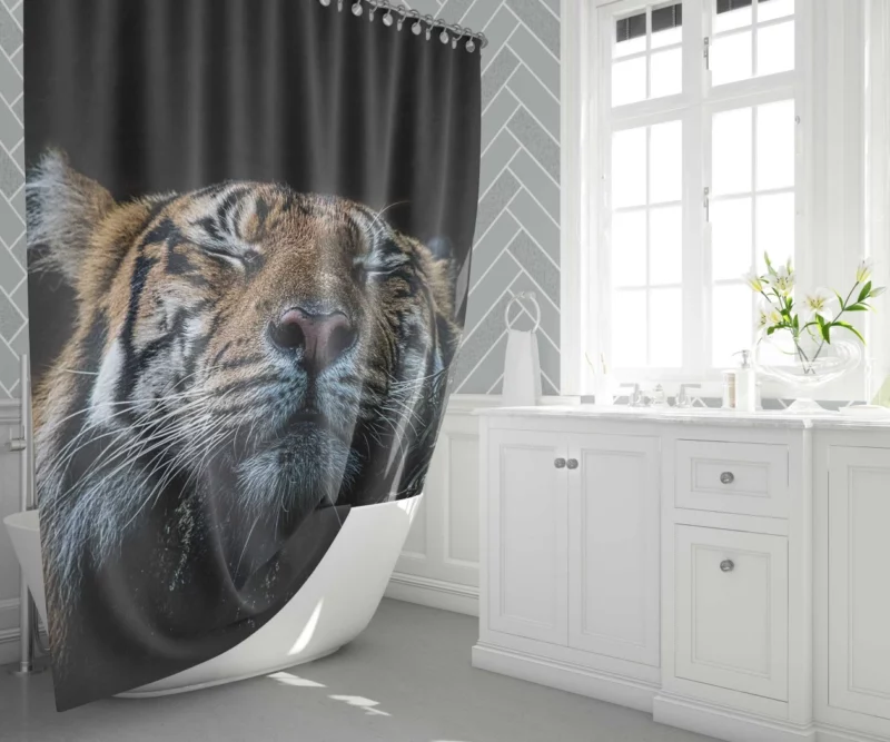 Tiger Fierce Stance Wilderness Dominance Shower Curtain 1