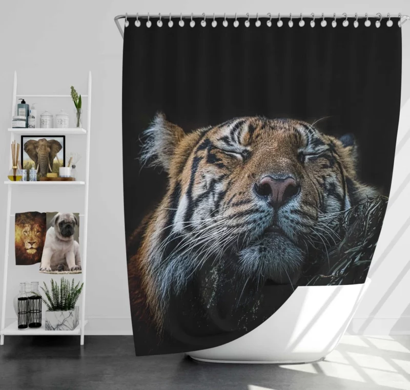 Tiger Fierce Stance Wilderness Dominance Shower Curtain