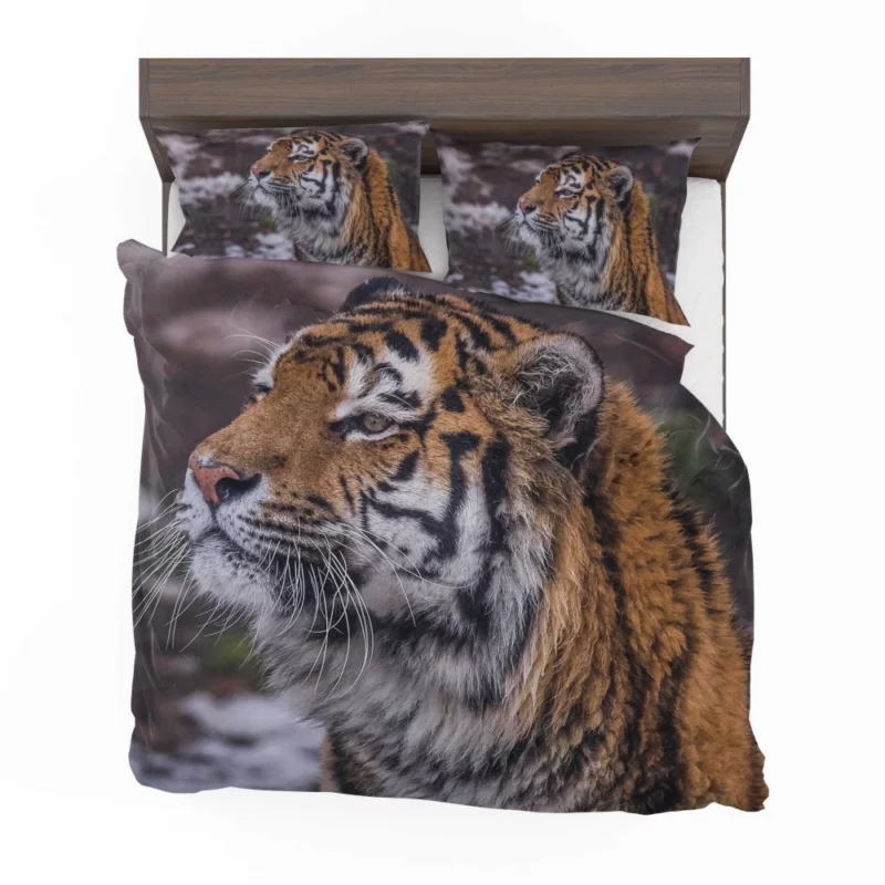 Tiger Fierce Stare Intense Gaze Bedding Set 1