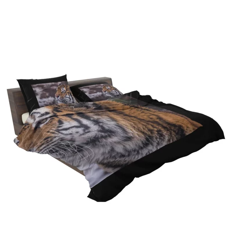 Tiger Fierce Stare Intense Gaze Bedding Set 2