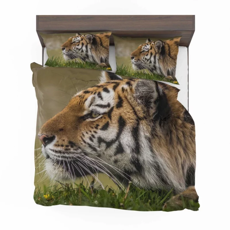 Tiger Fierce Stare Regal Dominance Bedding Set 1