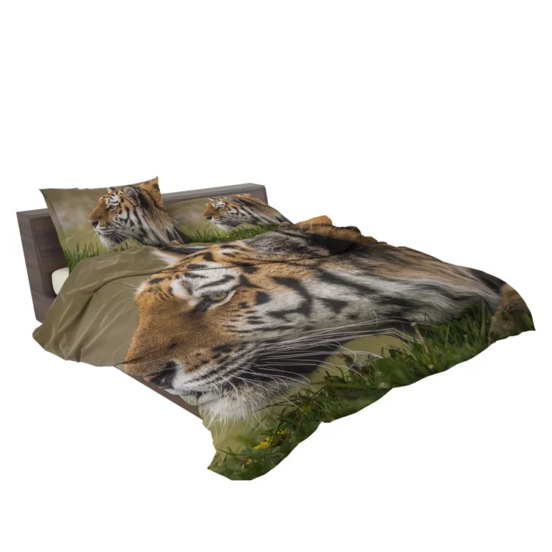 Tiger Fierce Stare Regal Dominance Bedding Set 2