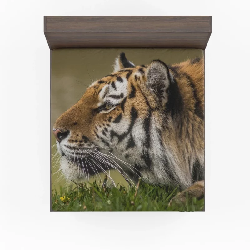 Tiger Fierce Stare Regal Dominance Fitted Sheet 1