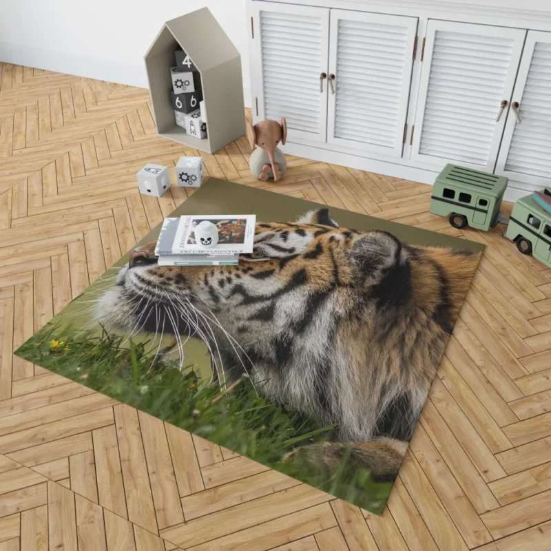 Tiger Fierce Stare Regal Dominance Rug 1