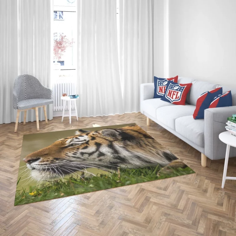 Tiger Fierce Stare Regal Dominance Rug 2