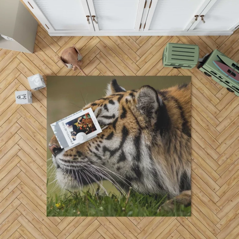 Tiger Fierce Stare Regal Dominance Rug