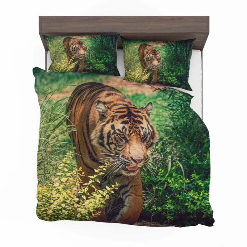 Tiger Fierce Stare Wild Intrigue Bedding Set 1