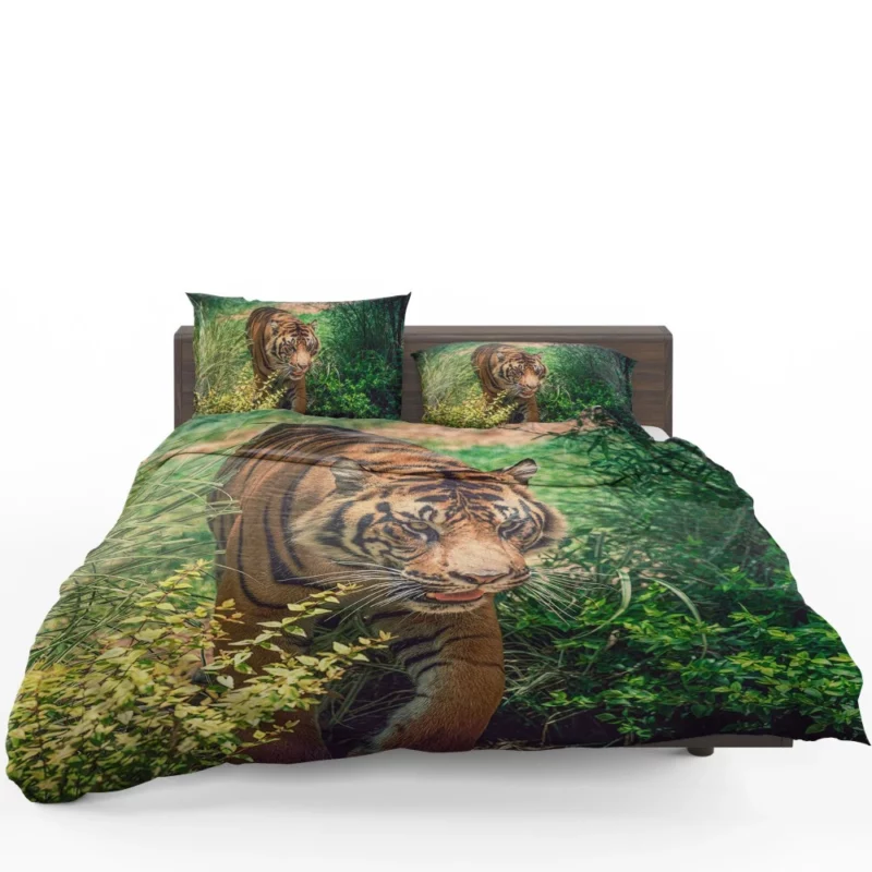 Tiger Fierce Stare Wild Intrigue Bedding Set