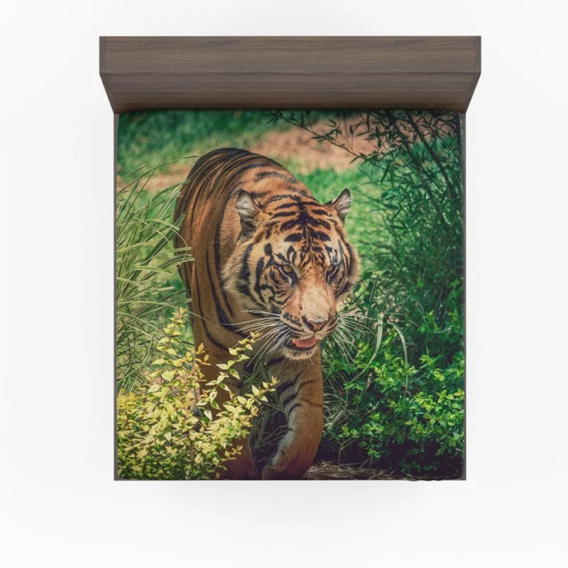 Tiger Fierce Stare Wild Intrigue Fitted Sheet 1