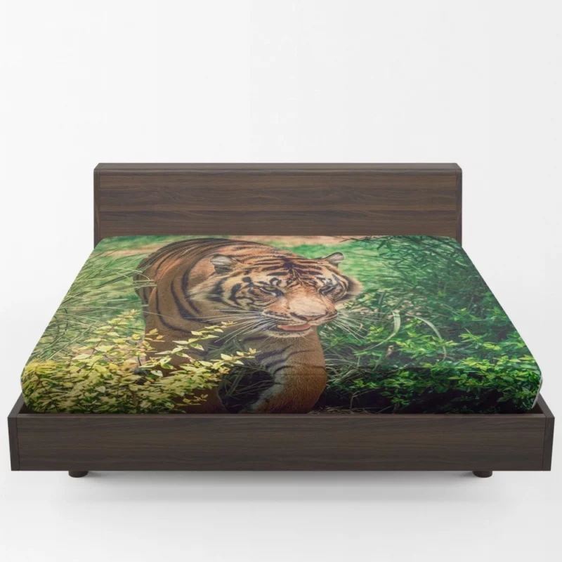 Tiger Fierce Stare Wild Intrigue Fitted Sheet