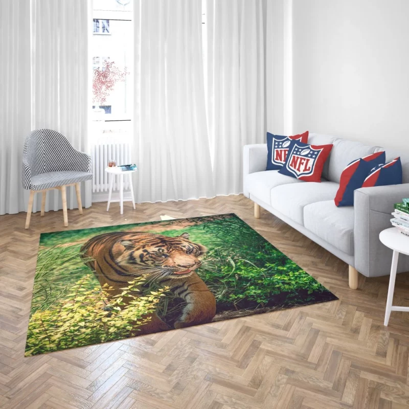 Tiger Fierce Stare Wild Intrigue Rug 2