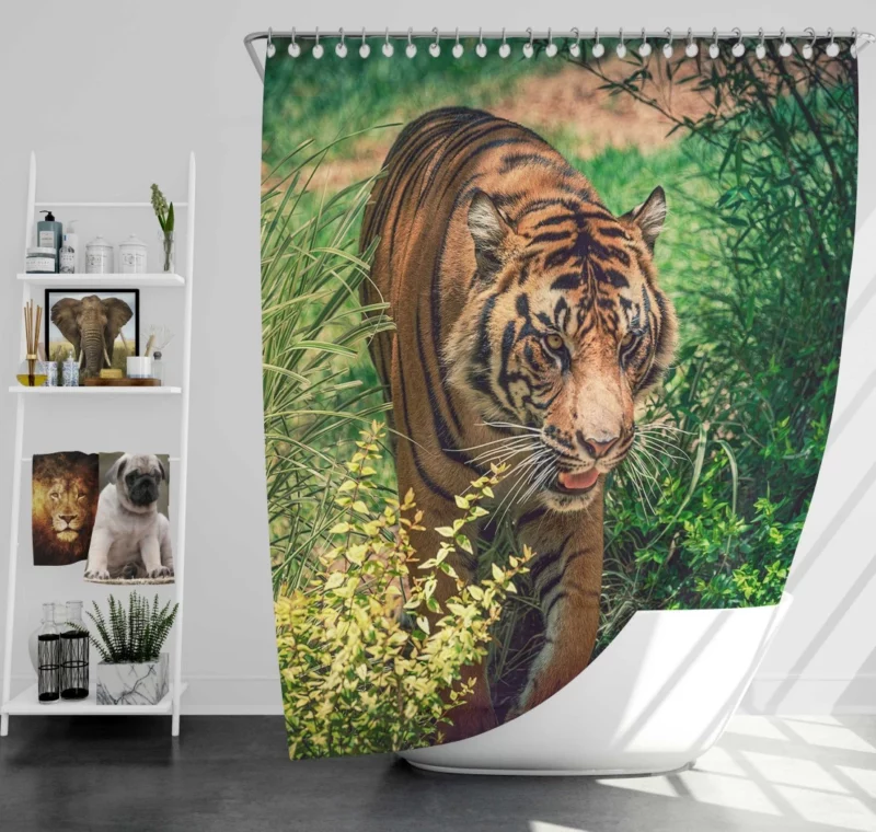 Tiger Fierce Stare Wild Intrigue Shower Curtain