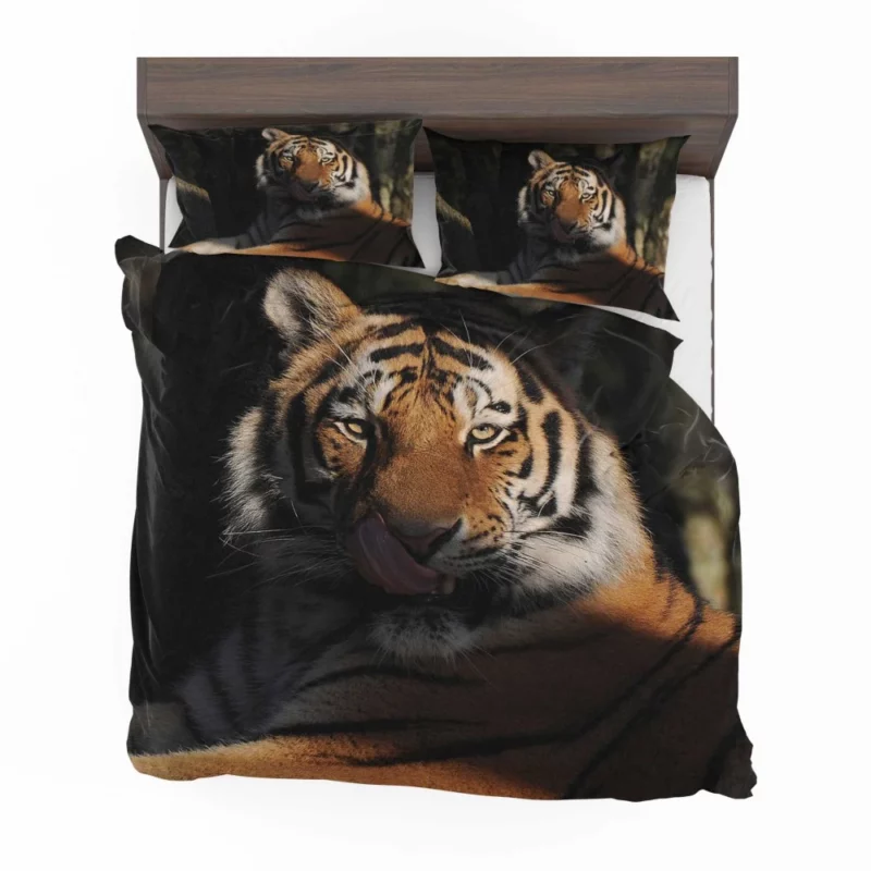 Tiger Fierce Stare Wilderness Intrigue Bedding Set 1