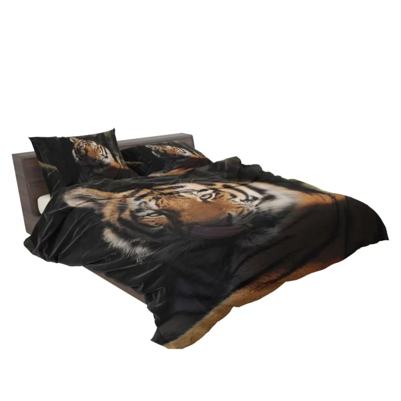 Tiger Fierce Stare Wilderness Intrigue Bedding Set 2