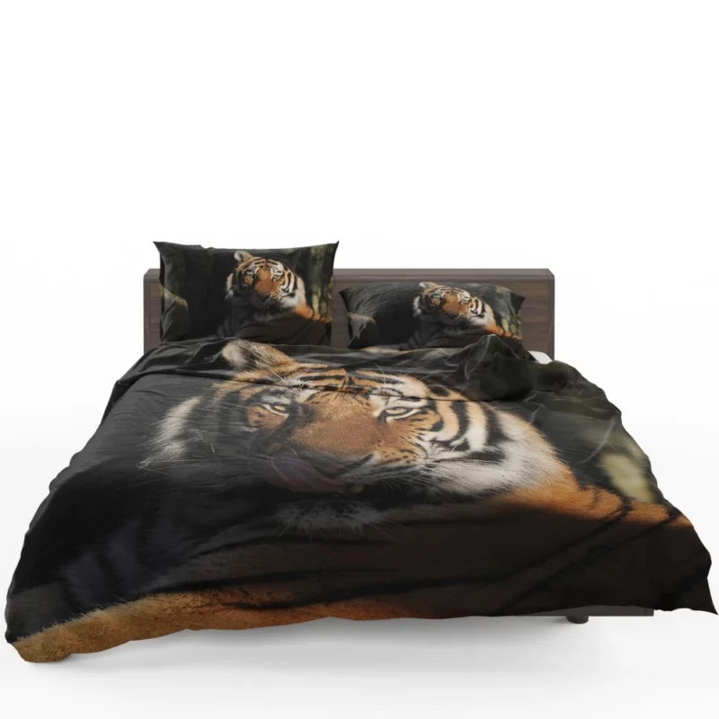 Tiger Fierce Stare Wilderness Intrigue Bedding Set