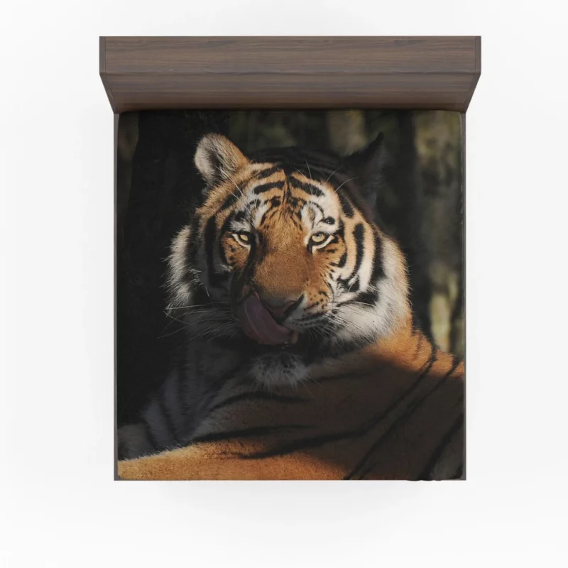 Tiger Fierce Stare Wilderness Intrigue Fitted Sheet 1