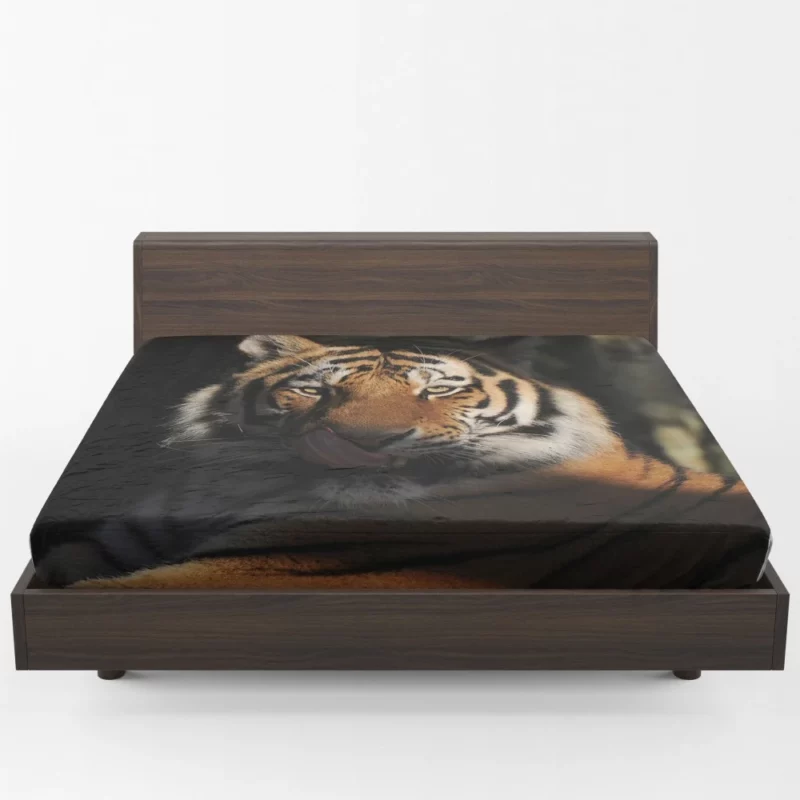 Tiger Fierce Stare Wilderness Intrigue Fitted Sheet