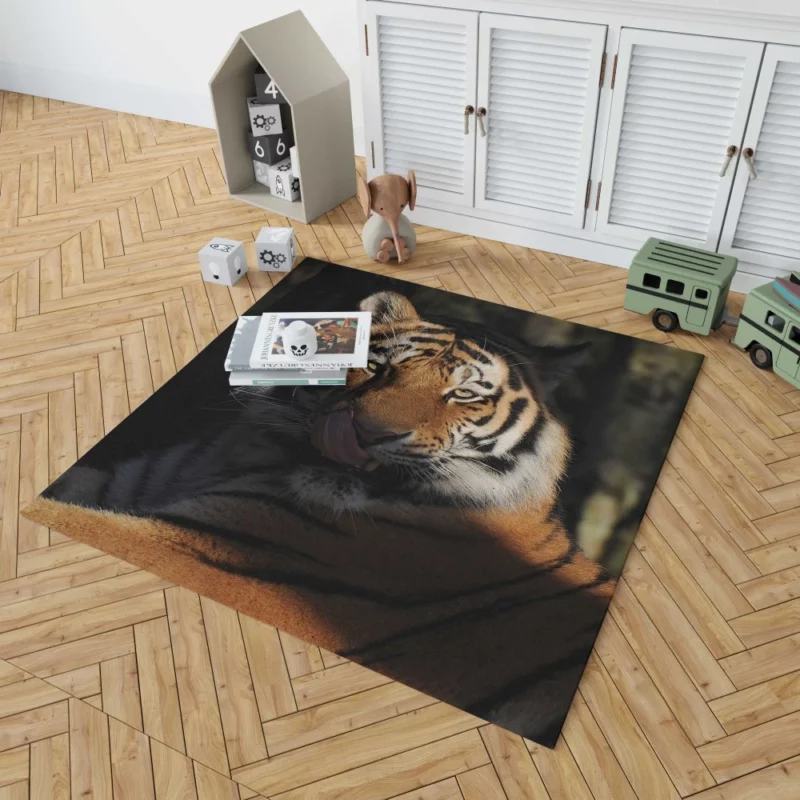 Tiger Fierce Stare Wilderness Intrigue Rug 1