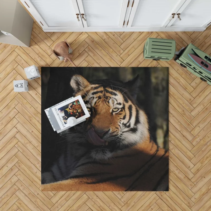 Tiger Fierce Stare Wilderness Intrigue Rug