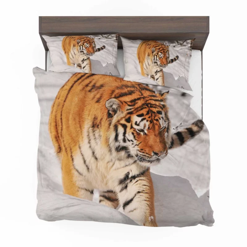 Tiger Gaze Fierce Intensity Bedding Set 1