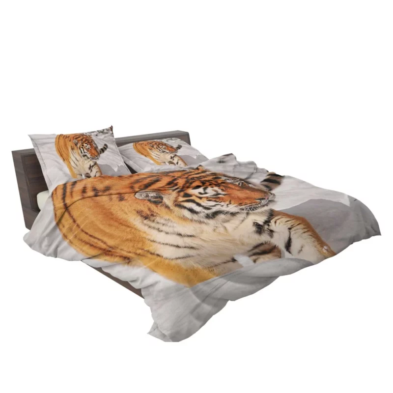 Tiger Gaze Fierce Intensity Bedding Set 2