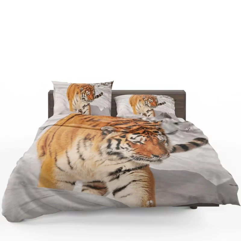 Tiger Gaze Fierce Intensity Bedding Set