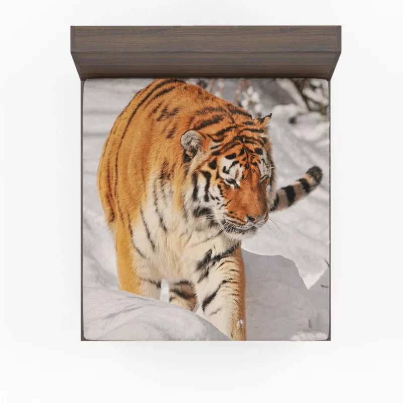 Tiger Gaze Fierce Intensity Fitted Sheet 1