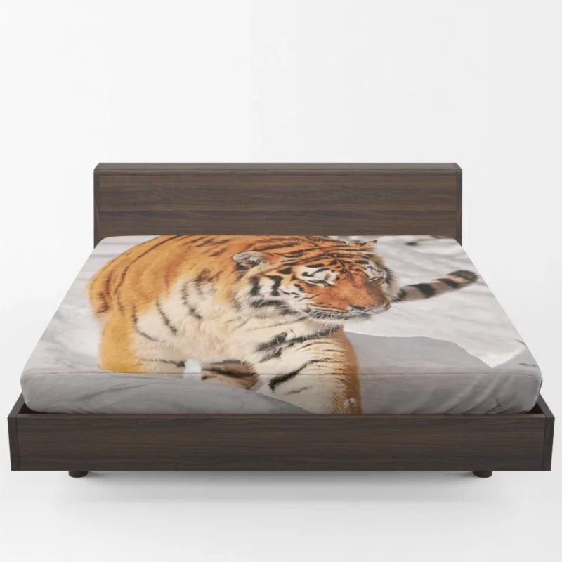 Tiger Gaze Fierce Intensity Fitted Sheet