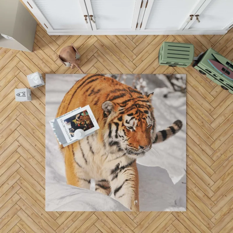 Tiger Gaze Fierce Intensity Rug