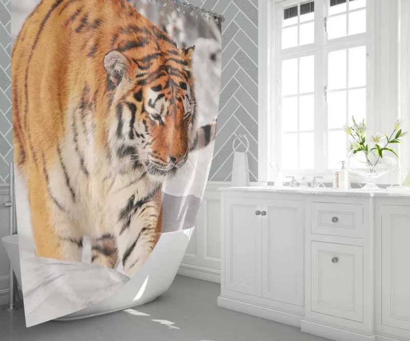 Tiger Gaze Fierce Intensity Shower Curtain 1