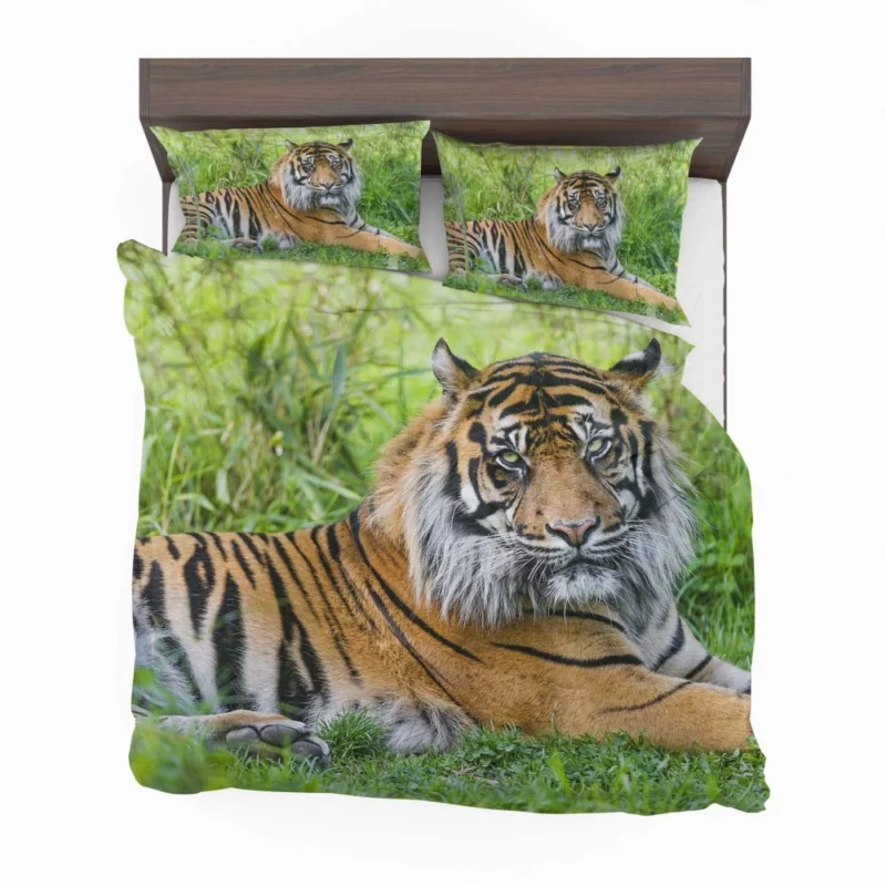 Tiger Grace Wilderness Elegance Bedding Set 1